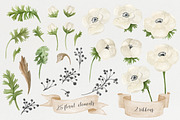 Watercolor anemones. Floral set, an Illustration by NataliVA (Thumbnail 2 of 4)