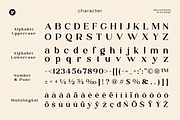 Raffin - Modern Serif Refined Font, a Serif Font by roomspace creative lab (Thumbnail 9 of 12)