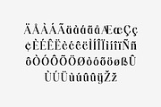 Vexford Quantum Serif Family Font, a Serif Font by UICreative (Thumbnail 7 of 13)