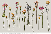 Botanical Moodboard Scene Creator, an Advertising Mockup by Eclectic Anthology (Thumbnail 4 of 14)