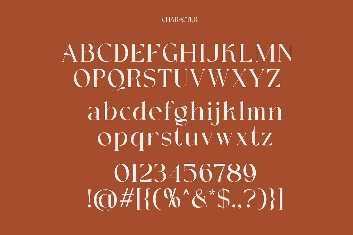 Witerlam - Serif Display Font, a Serif Font by Luna Shop (Photo 4 of 11)