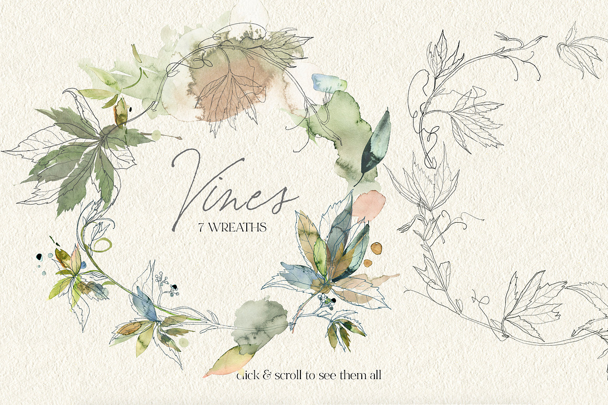 Vines Abstract Watercolor Clipart, a Decorative Illustration by whiteheartdesign (Photo 2 of 9)