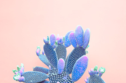 Blue neon cactus minimal fashion ar featuring cactus, blog, and minimal