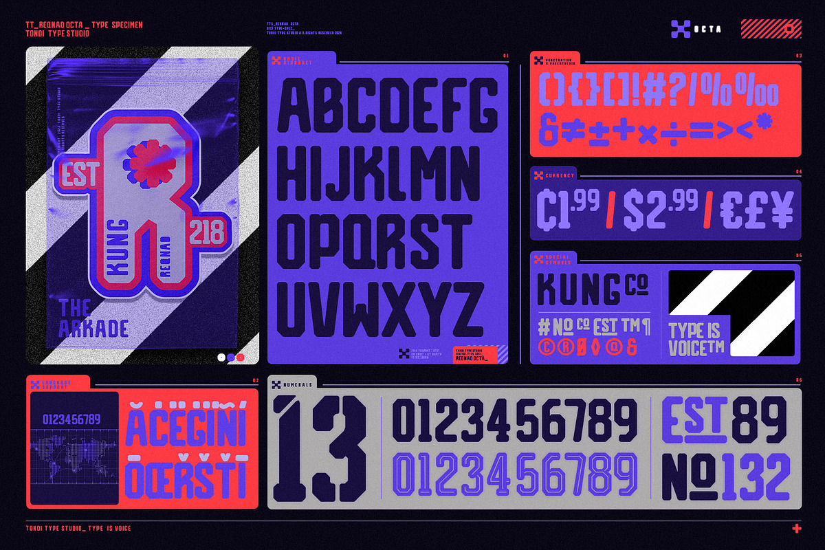 Reqnad Octa | Industrial Sans Serif, a Sans Serif Font by Tondi Type Studio (Photo 14 of 14)