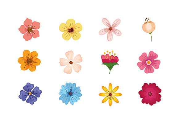 Colorful Flowers Illustration Set preview 2