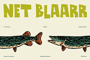 Net Blaarr – Retro Display Typeface, a Sans Serif Font by Casloop Studio (Thumbnail 1 of 10)