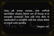 Alitun Incanor, a Blackletter Font by Propertype (Thumbnail 7 of 10)