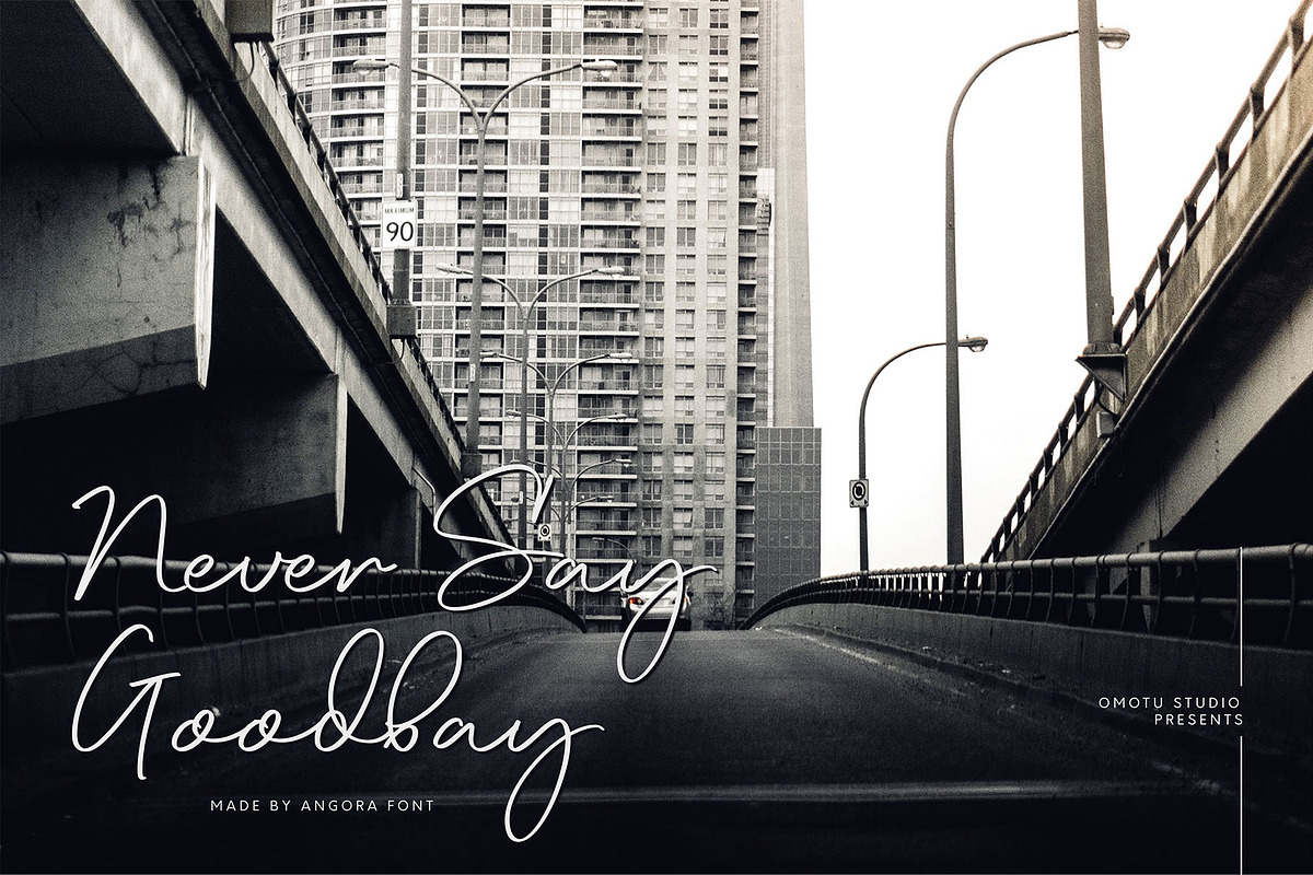 Angora, a Script Font by Omotu Studio (Photo 5 of 12)