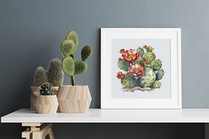 Blooming Cacti Clipart