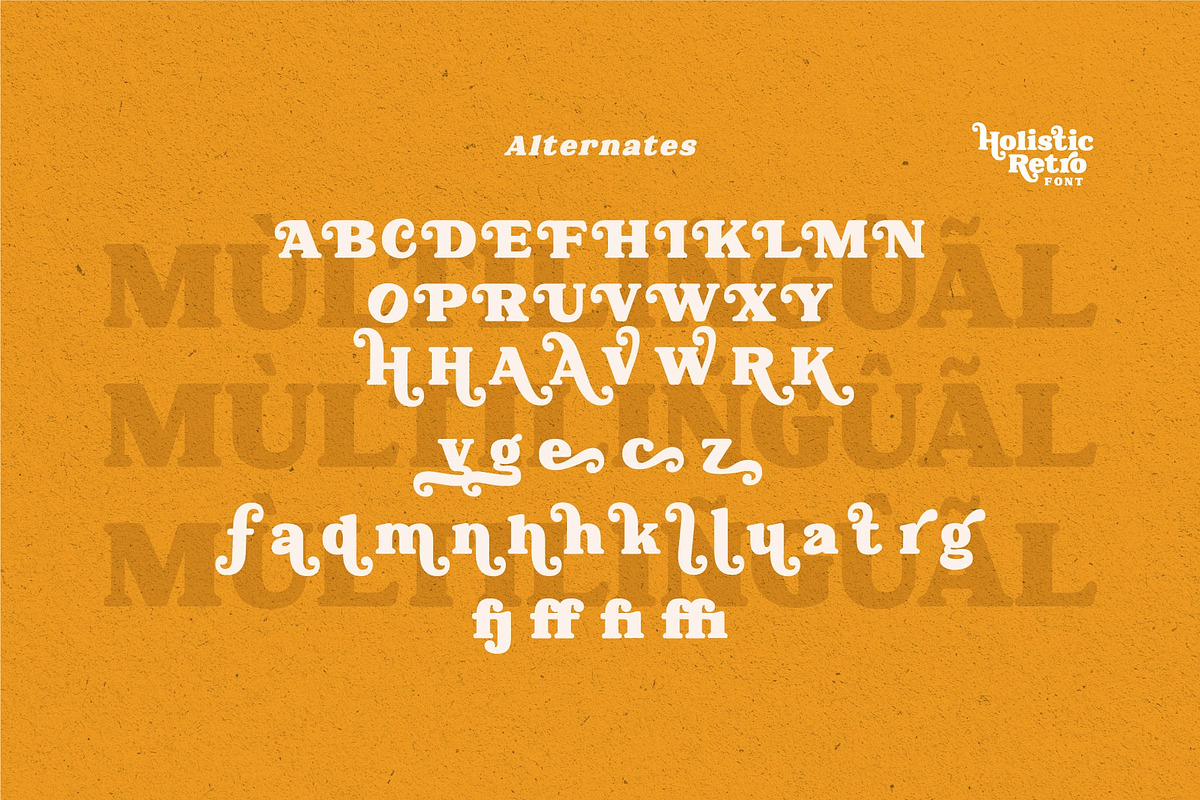 Holistic Retro – Bold Serif Font, a Serif Font by Salamahtype (Photo 8 of 8)