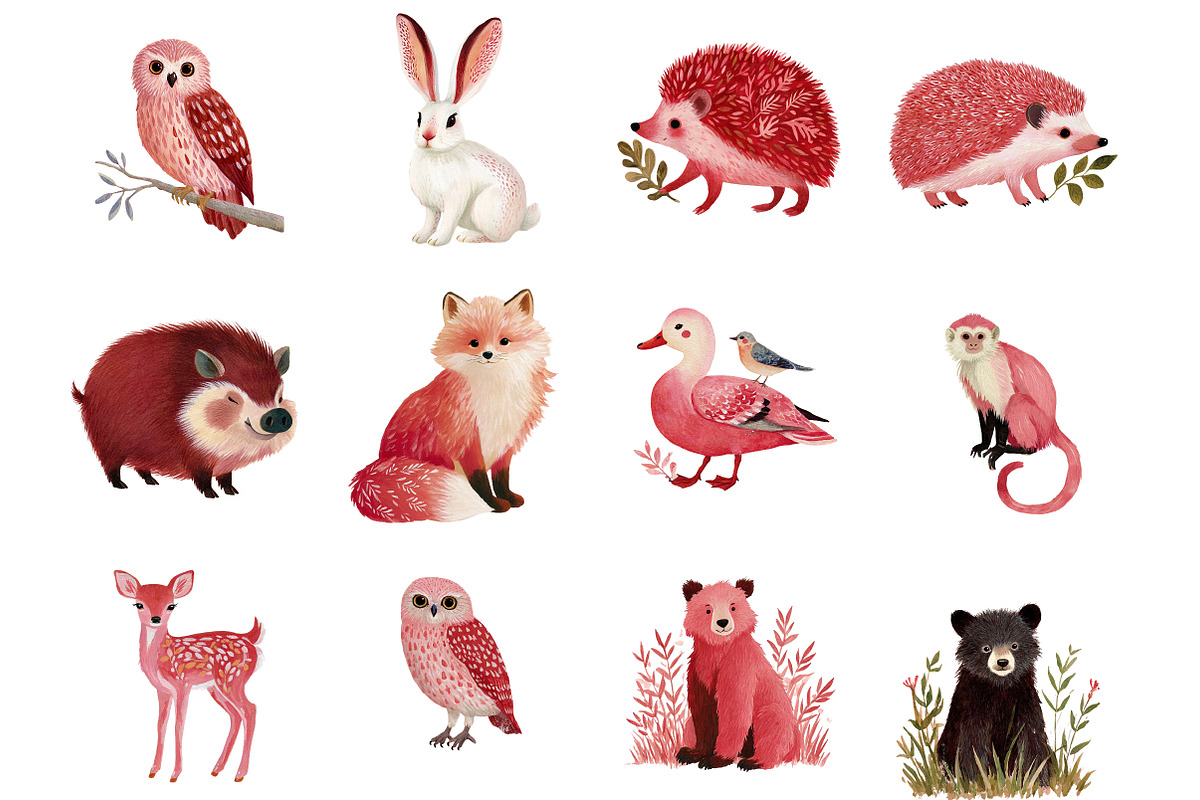 Forest Animals Clipart, an Illustration by DreamArtGraphic (Photo 3 of 4)