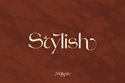 Molgeth - Aesthetic Sans Serif, a Sans Serif Font by Variatype (Thumbnail 9 of 15)