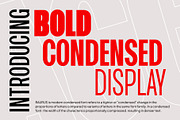 Raurus Condensed Display Family Font, a Sans Serif Font by Pekotype (Thumbnail 2 of 15)