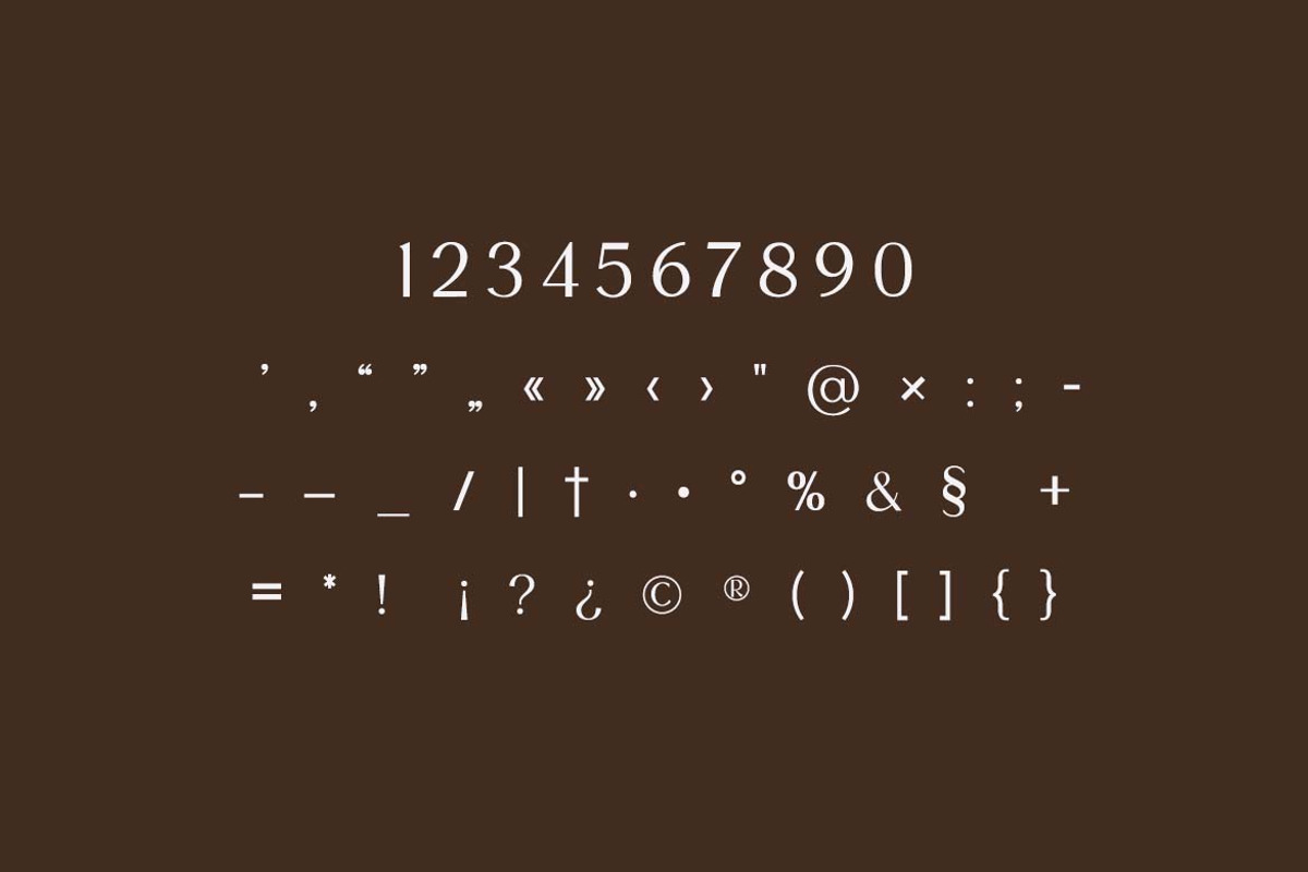 The Ambient Stream Modern Serif Font, a Serif Font by UICreative (Photo 9 of 13)