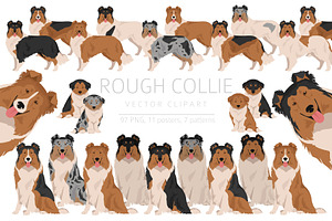 Rough Collie Clipart