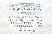 Birmingham | Script Font, a Handwritten Font by Scratchones (Thumbnail 7 of 8)