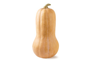 Ripe long pumpkin on a white, a Food & Drink Photo by innakreativ