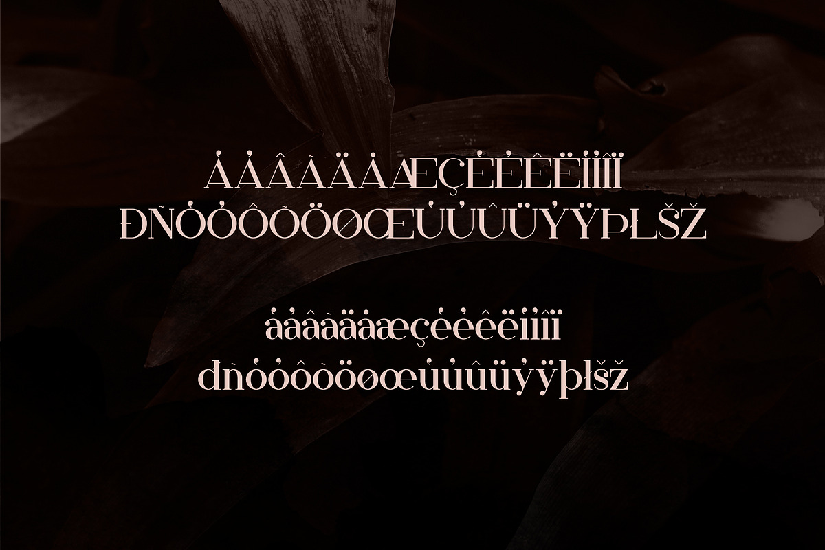 Papillon - Handcrafted Serif Font, a Serif Font by VP Fonts (Photo 10 of 13)