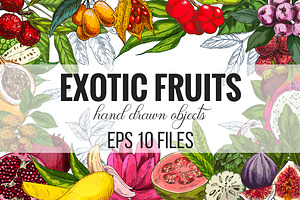Exotic fruits. Vector collection.