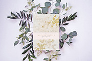 Botanical Bundle watercolor flowers, a Texture Graphic by Anna Sokol (Thumbnail 73 of 89)