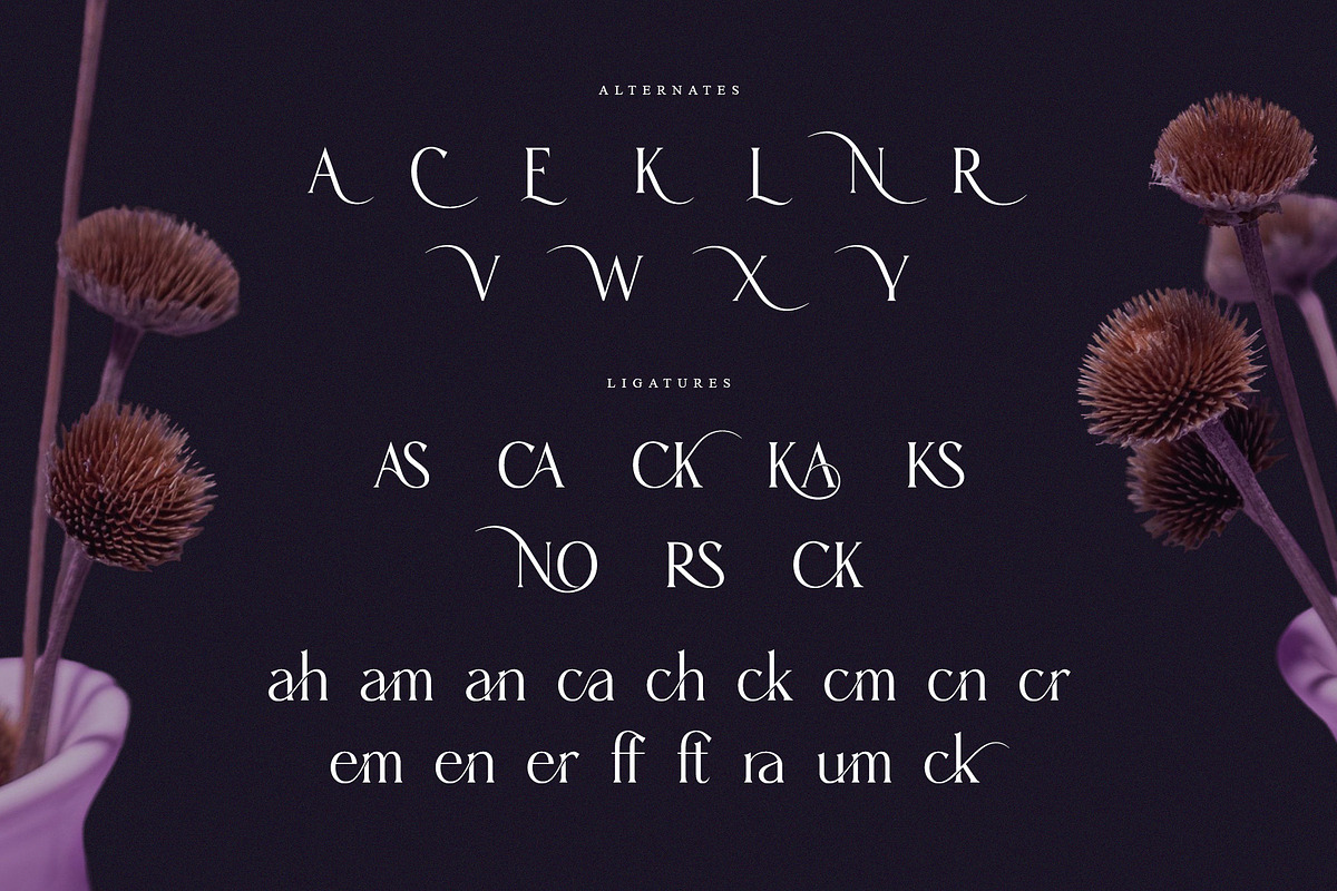 Karena – Elegant Serif Font Family, a Serif Font by Krismagraph (Photo 8 of 13)