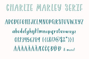 Charlie Marley Script Serif Duo, a Serif Font by Jordyn Alison Designs (Thumbnail 13 of 14)