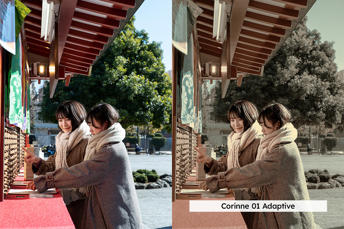 20 Memoirs Lightroom Presets & LUTs, a Preset Add-On by SparkleStock (Photo 7 of 17)