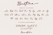 Beatina – Signature Font, a Script Font by Basnistudio (Thumbnail 9 of 11)