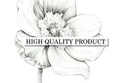 Flowers Graphics, an Object Illustration by Budogoshch (Thumbnail 5 of 8)