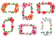 Watercolor tropical hibiscus flowers, an Object Illustration by Hanna Hryharenka (Thumbnail 8 of 18)
