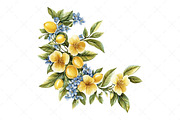 Watercolor Lemon Blossom Clipart, an Illustration by Craft Nest (Thumbnail 10 of 12)