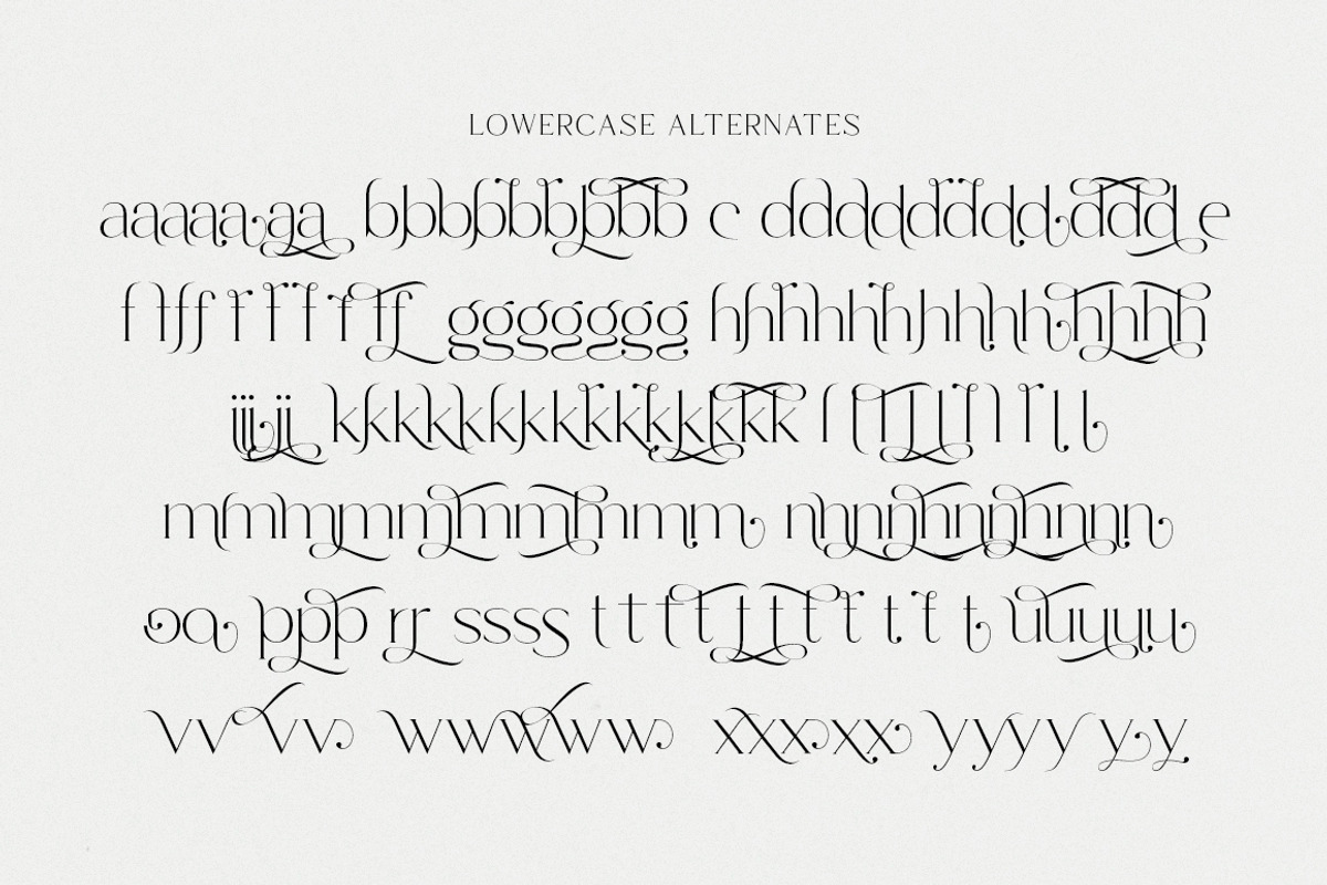 Marie Cortney, a Serif Font by Stripes Studio (Photo 12 of 14)