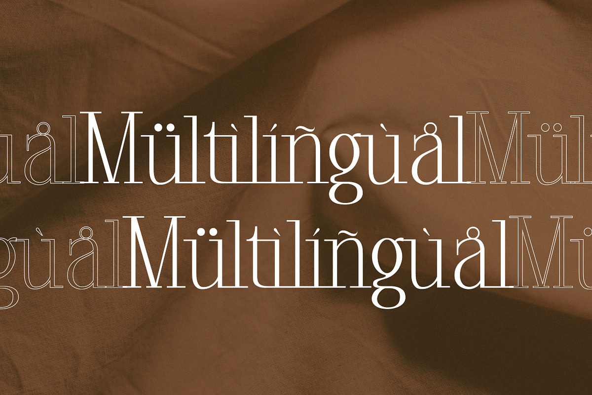 Glorious Copper Family, a Serif Font by Lettertype Studio (Photo 19 of 20)