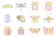 Hand Drawn Insects and Bugs Clipart, a Seasonal Illustration by CitraGraphics (Thumbnail 2 of 6)