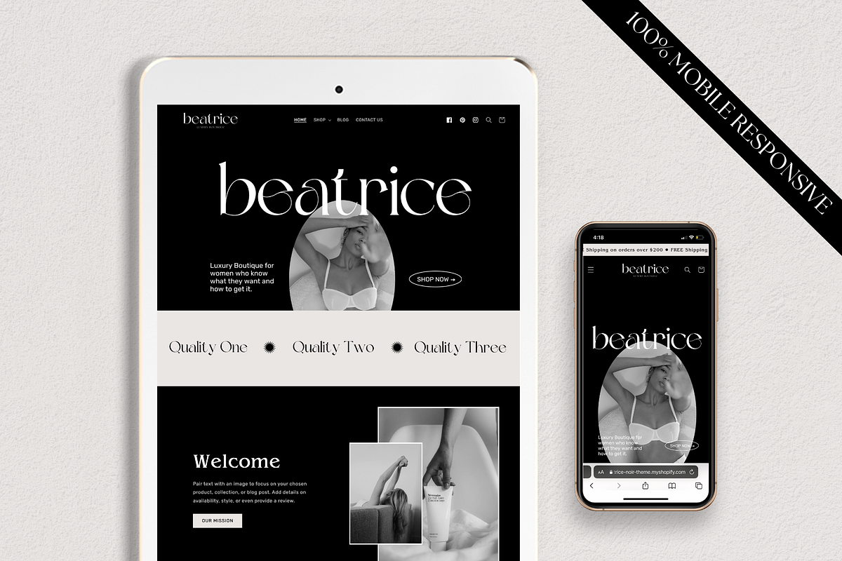 Beatrice Noir - Luxury Shopify Theme, a Shopify Template by Studio Zash (Photo 12 of 13)
