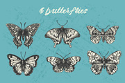 Butterflies and flowers, an Animal Illustration by Steshnikova (Thumbnail 2 of 5)