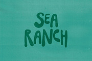 SeaFlower | Hand Drawn Surf Font, a Handwritten Font by Madeline ODonoghue Design (Thumbnail 2 of 3)
