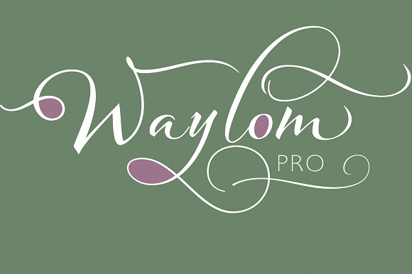 Waylom preview 8