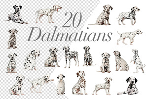 100 Dogs Bundle - Cut-out Pictures