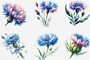 Watercolor Cornflower Clipart, an Illustration by Black Bird Studio (Thumbnail 2 of 6)