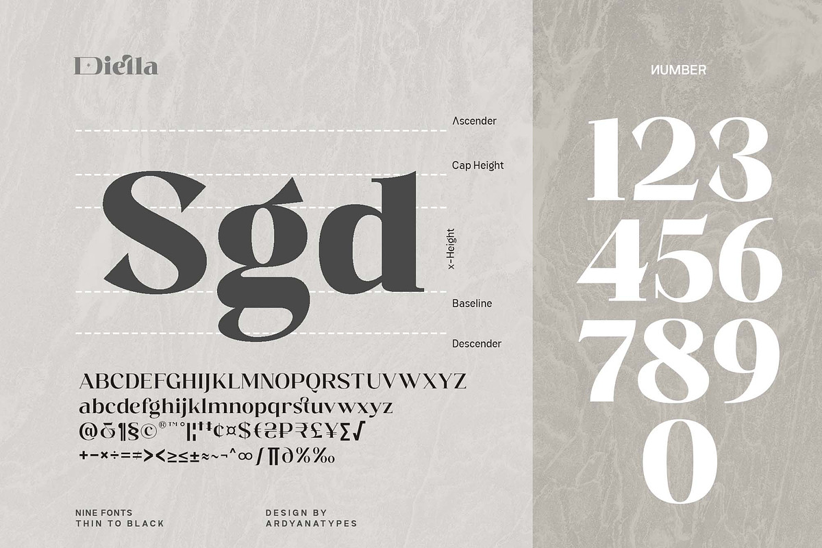 Diella, a Serif Font by Ardyanatypes (Photo 9 of 12)