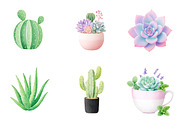 Watercolor Succulent Clipart, an Illustration by CreationArt (Thumbnail 3 of 5)