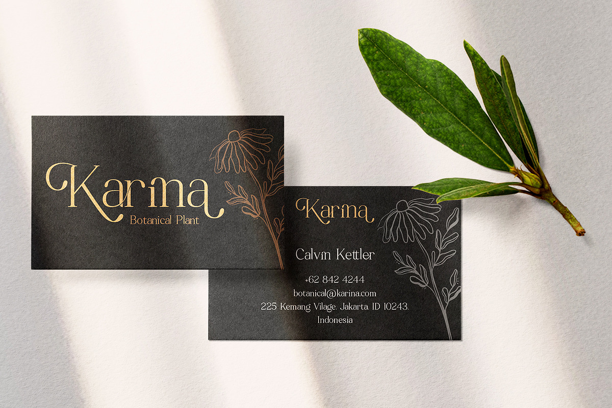 Mitchaella Luxury Unique Serif, a Serif Font by Typetemp Studio (Photo 11 of 19)