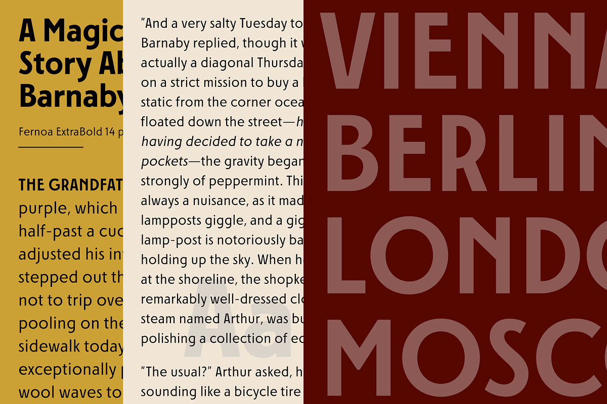 FERNOA - Dramatic Sans Serif Family, a Sans Serif Font by Nasir Udin (Photo 5 of 14)