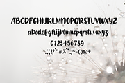 Wonderful, a Handwritten Font by nongnuchpolyiam1 (Thumbnail 6 of 6)