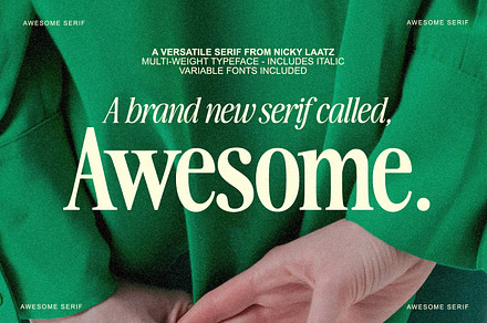 Seriously Nostalgic Serif, a Serif Font by Nicky Laatz
