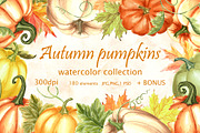 Autumn pumpkins watercolor clipart, a Decorative Illustration by susie-p-art (Thumbnail 1 of 17)