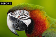 Ultimate Photoshop Action Collection, an Action Add-On by Dene Studios (Thumbnail 28 of 60)