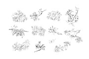 Ink Apple Blossom, an Illustration by Note And Silence (Thumbnail 2 of 5)