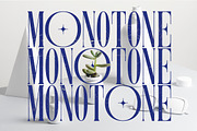 Hypertype : Elegant Serif Display, a Serif Font by Fargun Studio (Thumbnail 6 of 20)